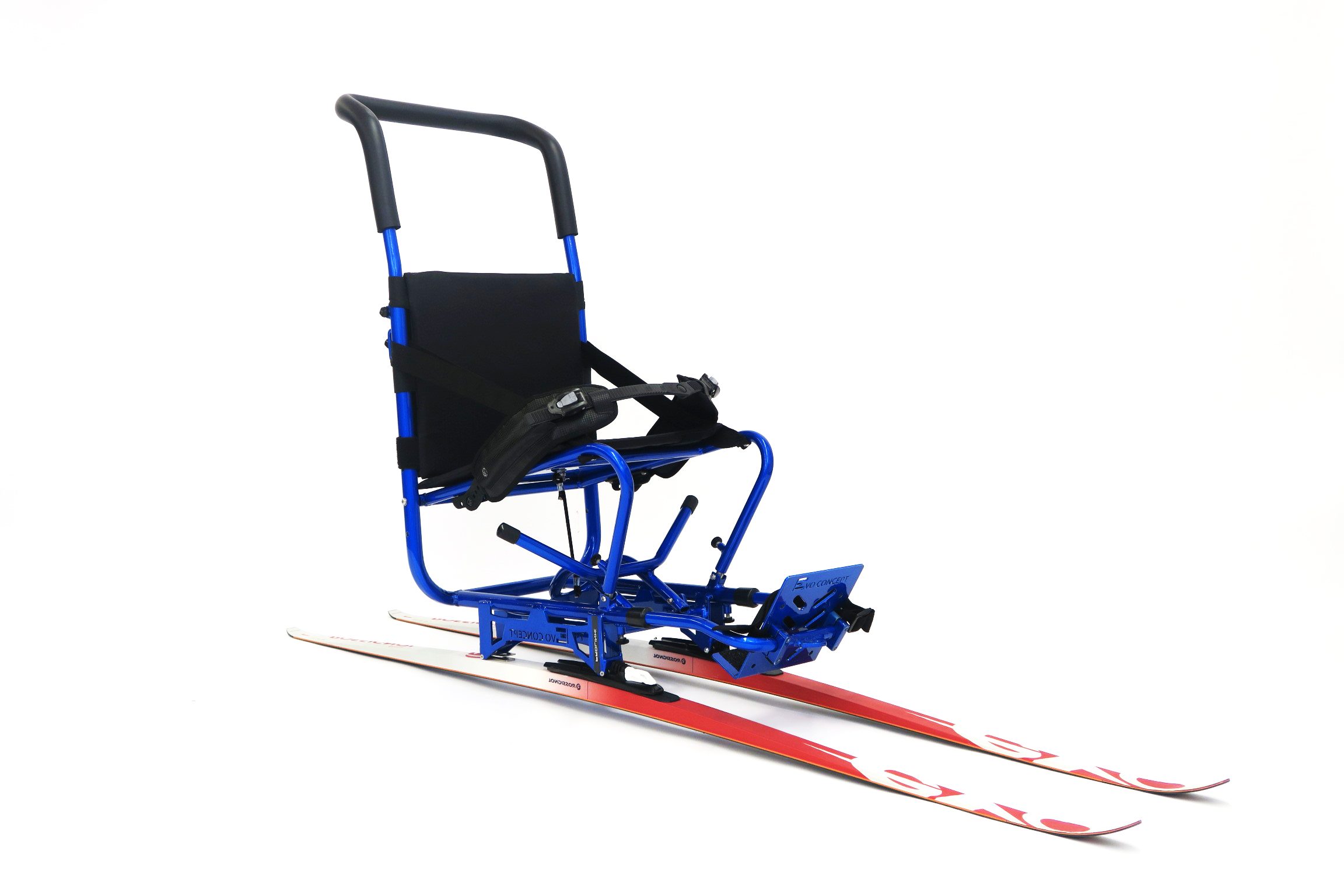 luge bleue skis (2).psh