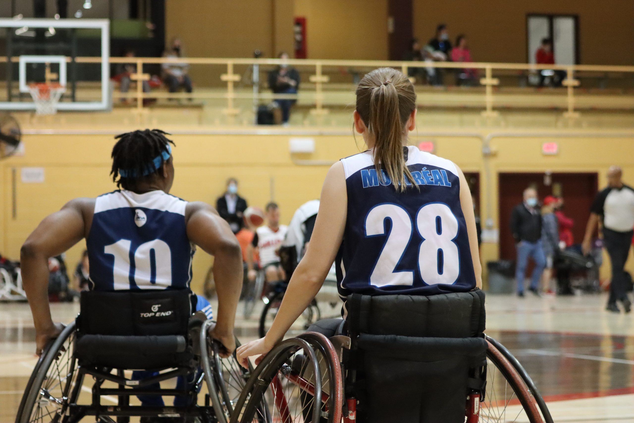 Basket-2022